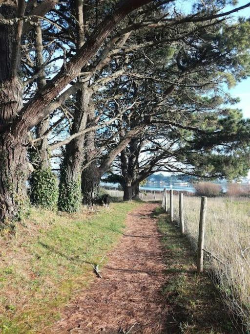 Chalet Cosy, Plages A Pieds. Morbihan. Plouhinec  ภายนอก รูปภาพ