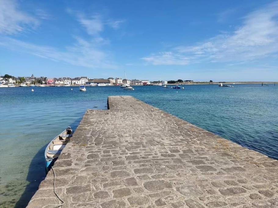 Chalet Cosy, Plages A Pieds. Morbihan. Plouhinec  ภายนอก รูปภาพ